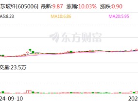 6连板山东玻纤：公司股票可能存在短期内大幅下跌的风险