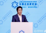 高德康在“亚布力中国企业家论坛第25届年会”的演讲实录