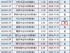 国金基金中证A500指数增强基金未纳入个人养老金名单，或因规模太小？