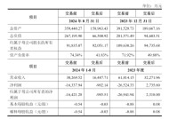 麦迪科技放弃“光伏梦”  入局21个月亏损超5亿、负债率飙升56个百分点  这些跨界选手也开始“撤退”