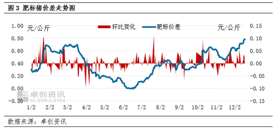 卓创资讯：养殖减重推动体重差和肥标差变化 1月生猪供应量或环比再增